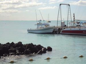 Boot zum Thunfisch fangen