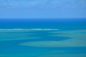 Inselpardies Rodrigues im Indischen Ozean